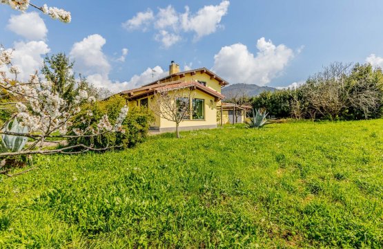 Vendita Villa Zona tranquilla Roma Lazio